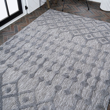 Peralta Moroccan Diamond Indoor/outdoor Area Rug